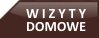 dojazd do domu